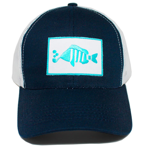 Blue - Sheepshead
 - 2
