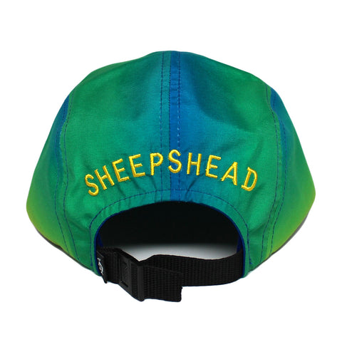 Mahi - Sheepshead
 - 4