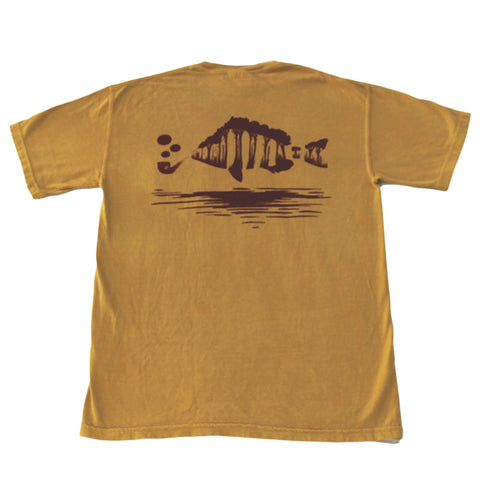 Pine Pocket - Sheepshead
 - 5